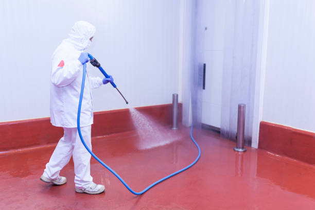 Best Building Exterior Washing  in Sea Ranch, CA
